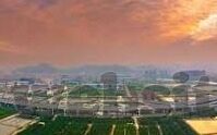 91chinesefree国产麻豆-