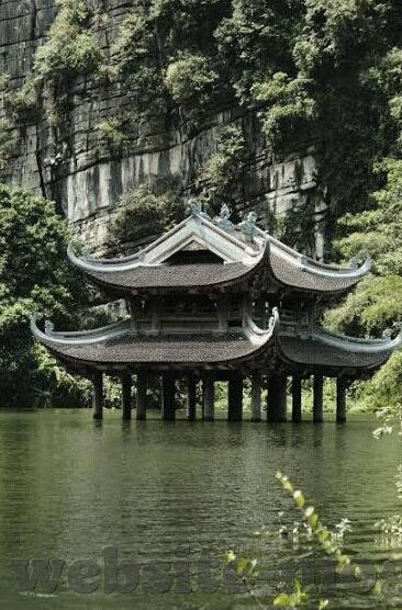 成人在线视频电影院-成人在线视频电影院，数字时代的娱乐新视界