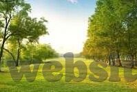 大象传媒官方网站入口-探索大象传媒官方网站，连接创意与信息的桥梁
