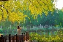 japanese人妻-探寻日本人妻文化的独特魅力