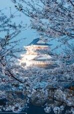 久久精品国产亚洲av麻豆2-谨以为戒，揭开久久精品国产亚洲av麻豆2网络传播背后的隐忧与警醒