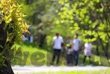 伦理图片视频小说电影-伦理的视觉叙事，图片、视频、小说与电影的交织