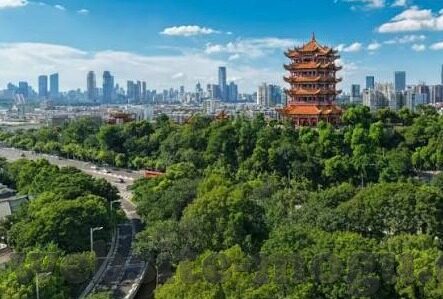 麻豆传媒破解版app免费版-解锁网络色情内容的危害性及自我保护意识的重要性
