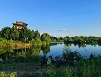 麻豆传媒视频免费看-关于探索麻豆传媒免费视频世界，解锁互联网的另一面