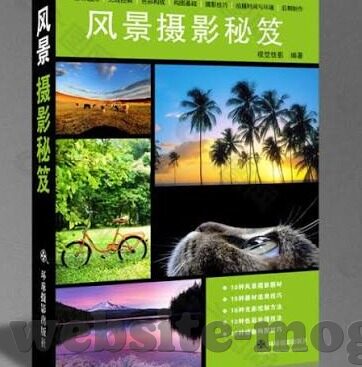 美国伦理大片儿网-探索美国伦理大片的网络魅力